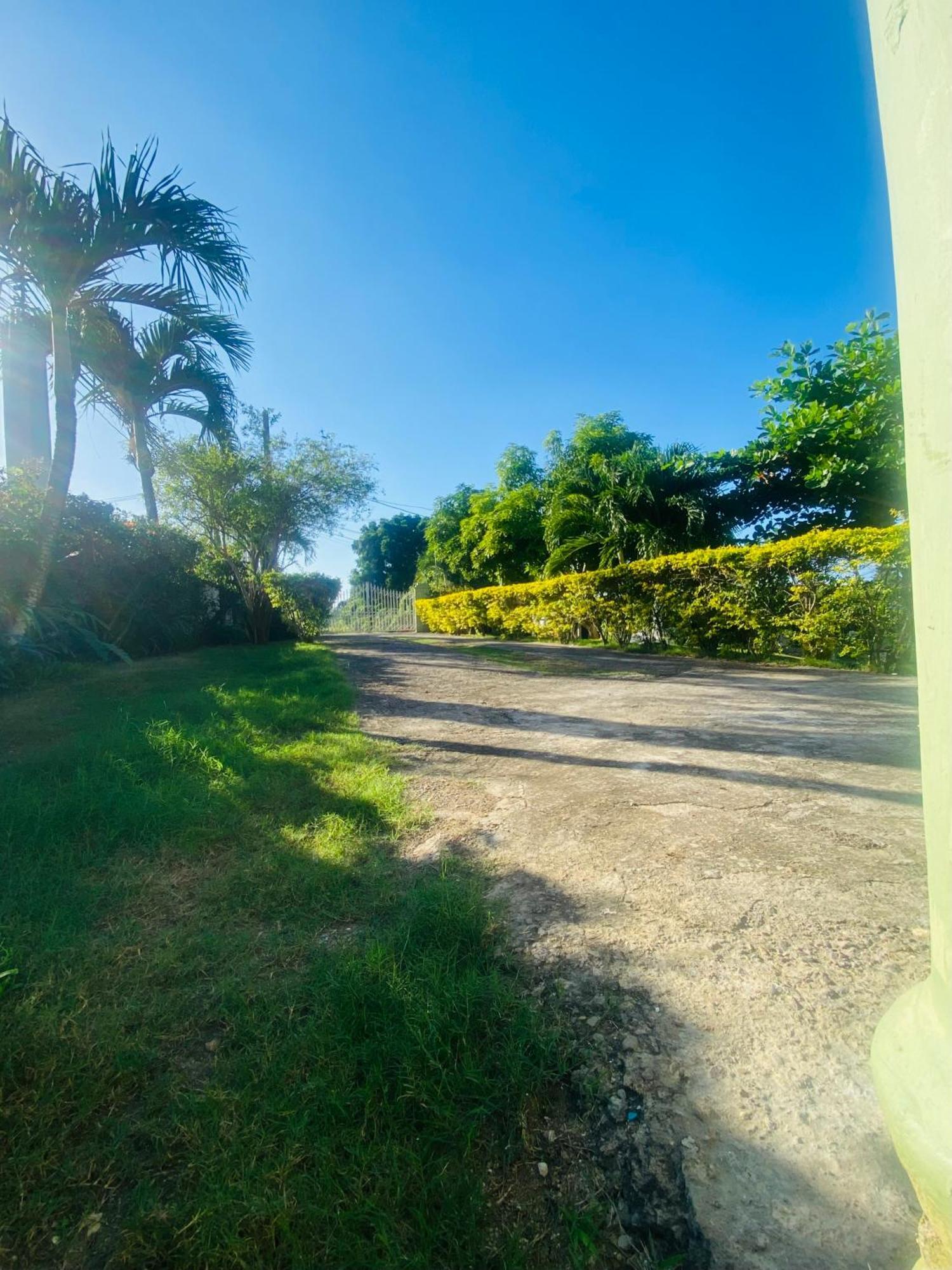 Cindy'S Garden Stay Ocho Rios Exterior photo